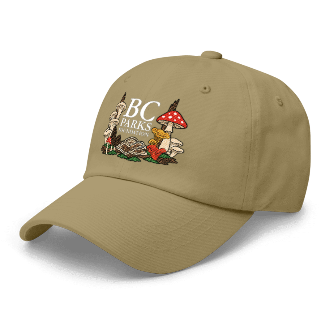 BC Wild Mushroom Dad Hat size chart