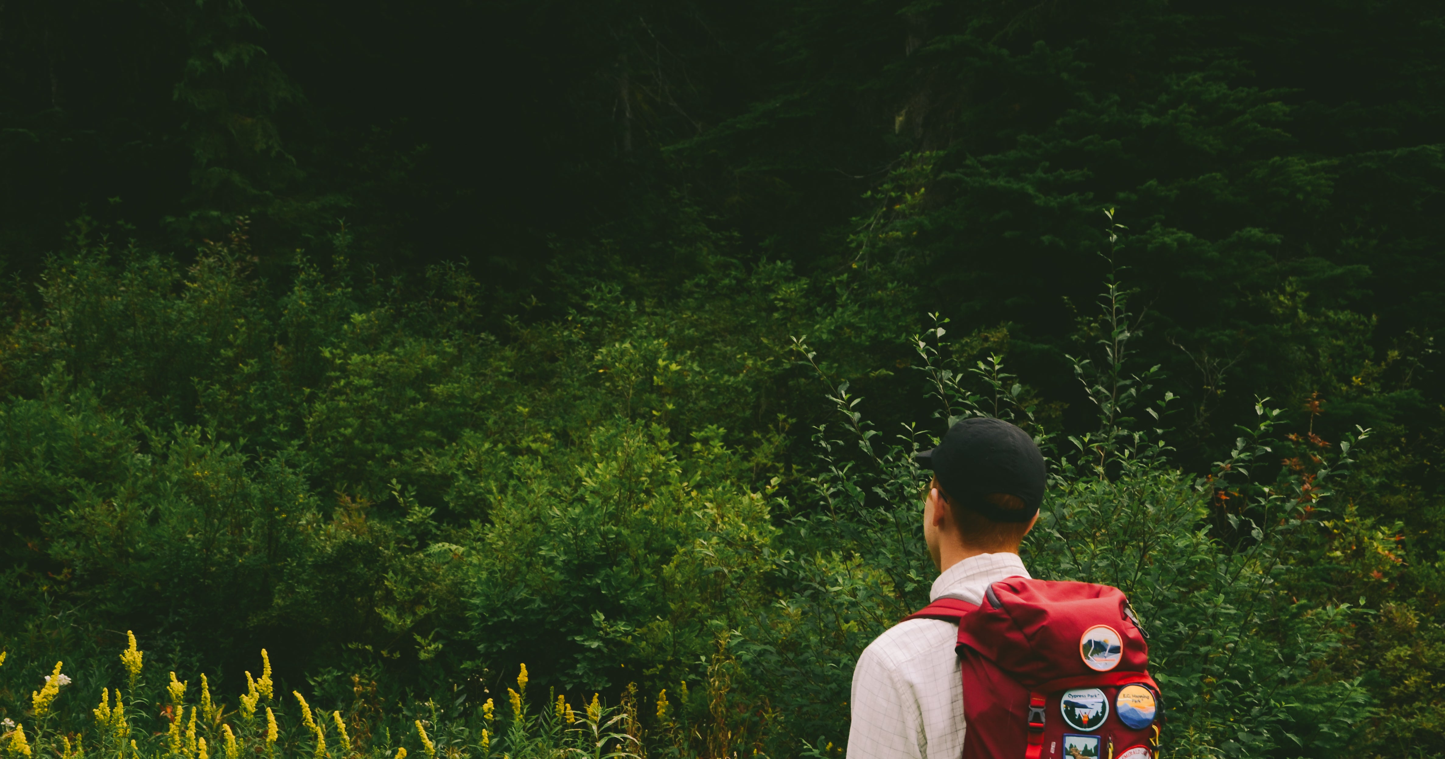 garibaldi-provincial-park-patch