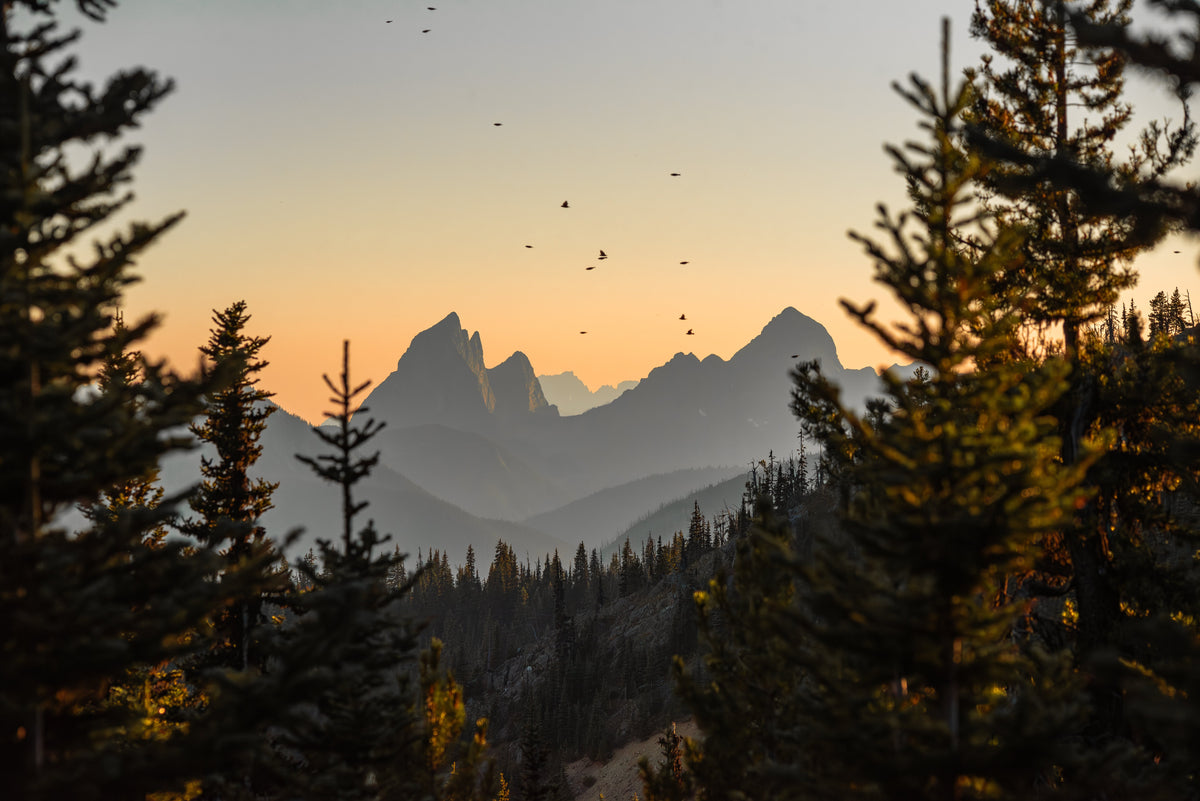 E.C. Manning Park