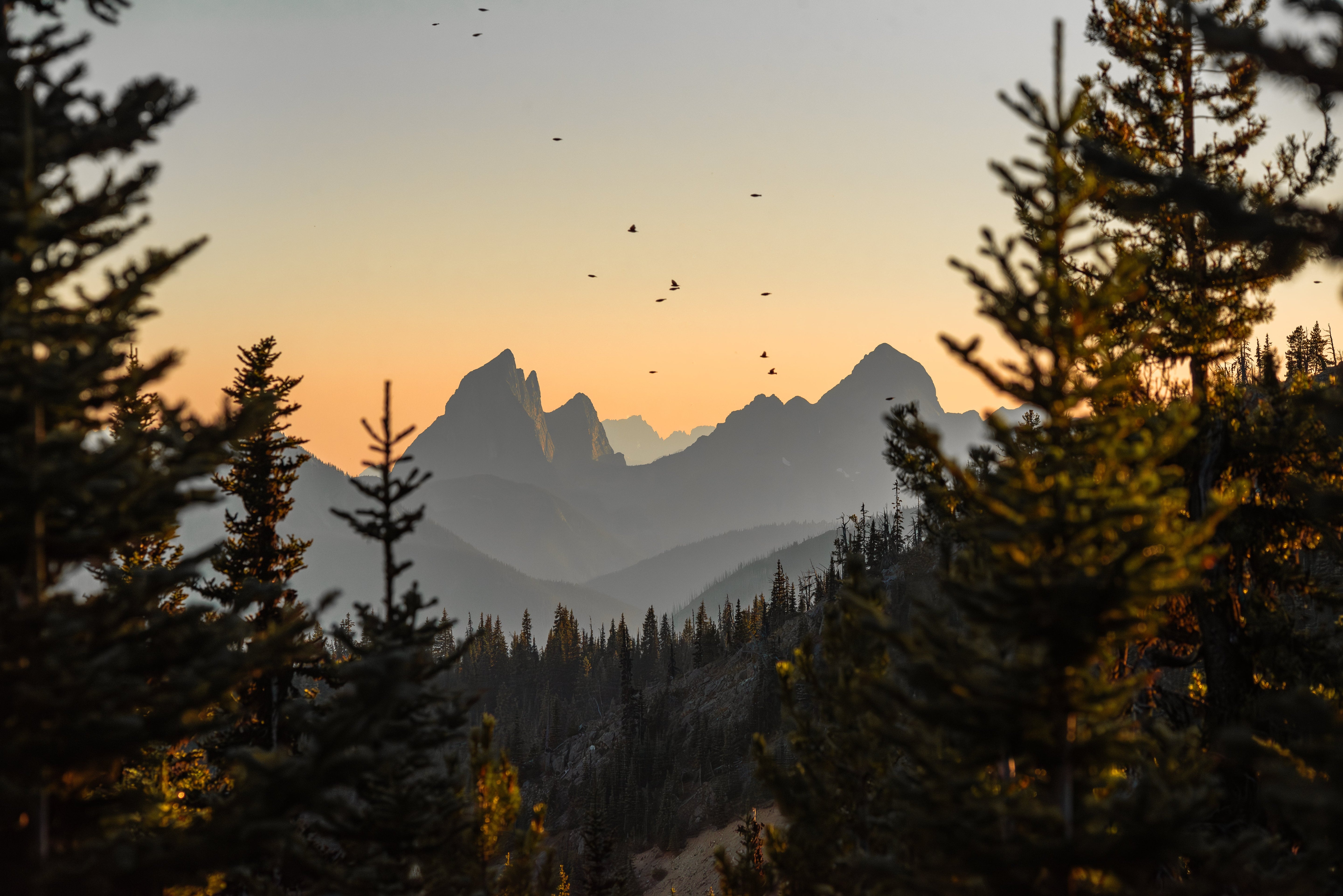 E.C. Manning Park