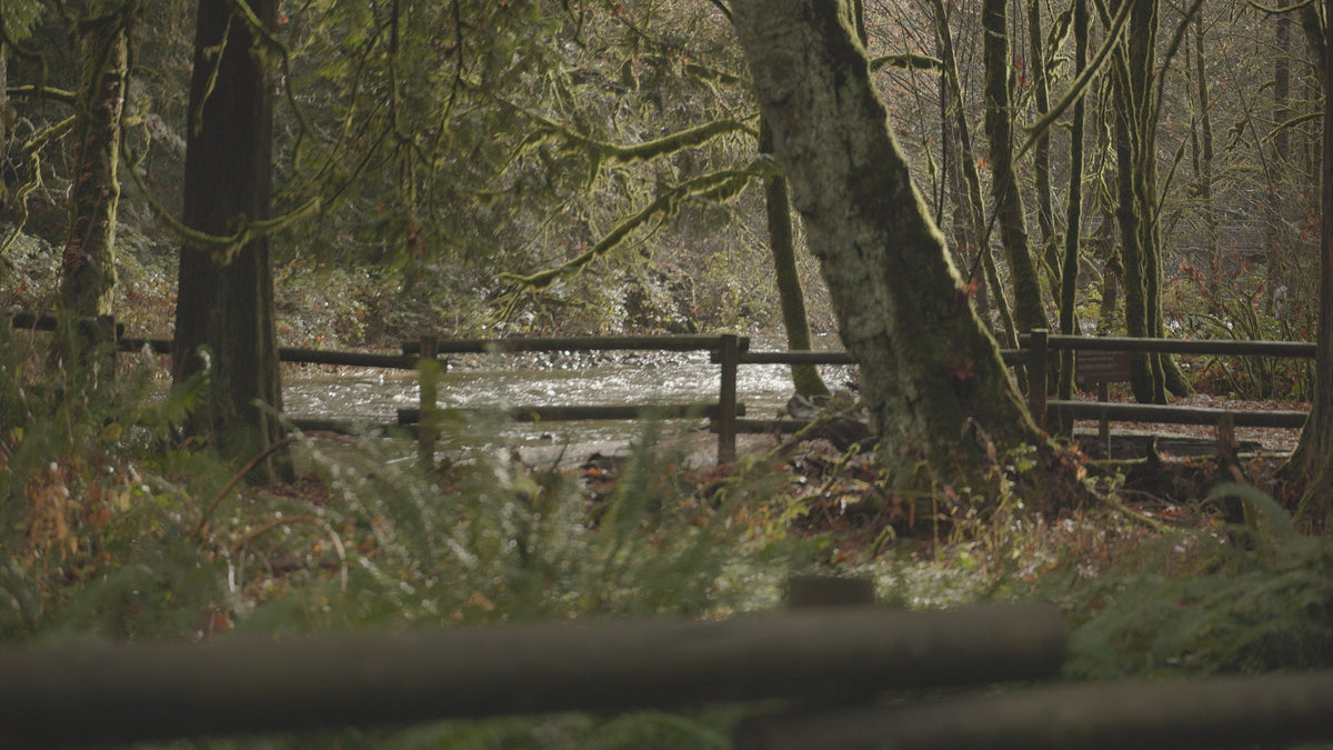 Goldstream Provincial Park