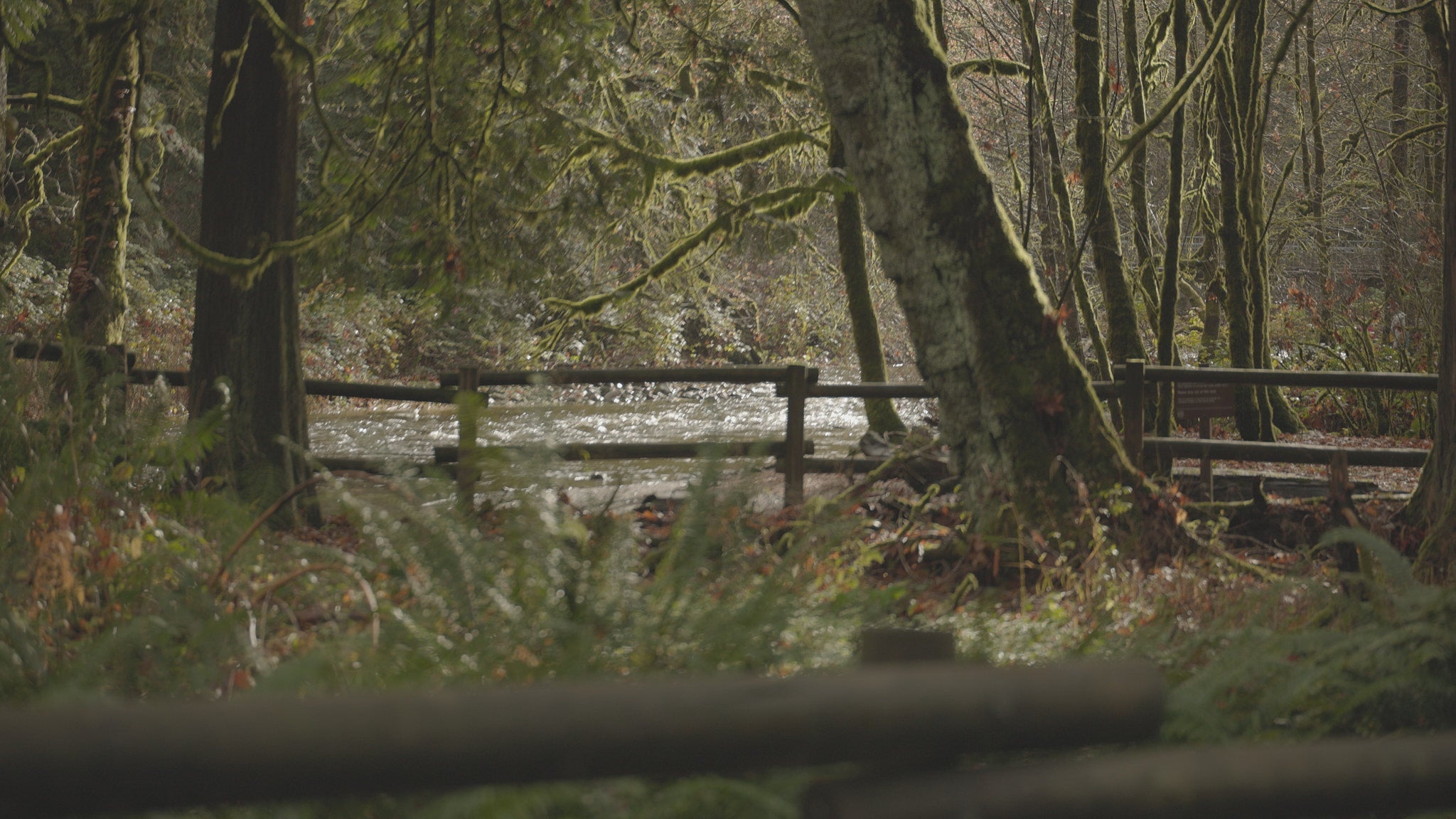 Goldstream Provincial Park