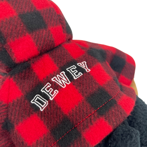 Dewey the Bear - BC Parks - Soft Toy