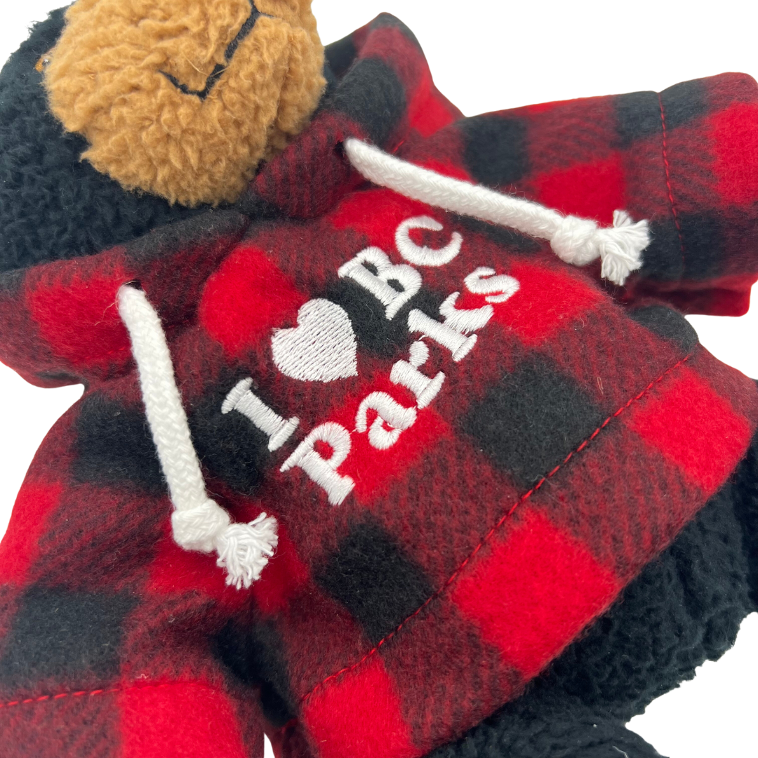 Dewey the Bear - BC Parks - Soft Toy