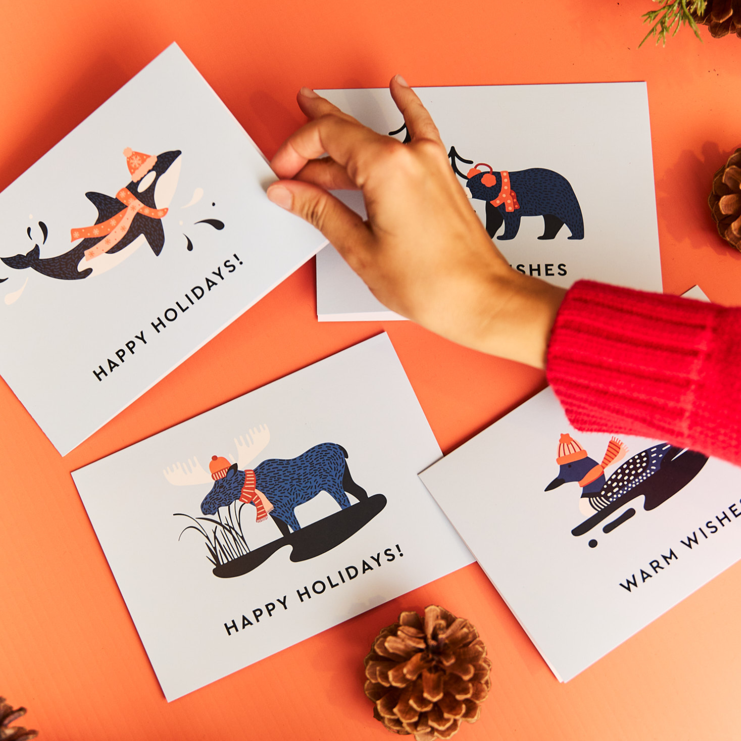 BC Biodiversity Christmas Cards - Pack of 4 - BC Parks Foundation