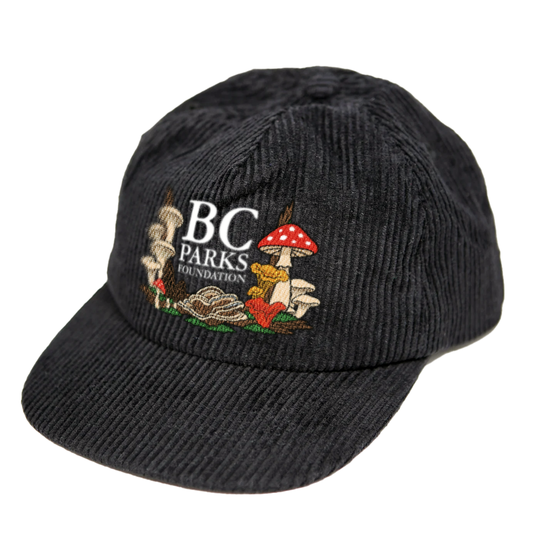 BC Wild Mushroom Corduroy Hat