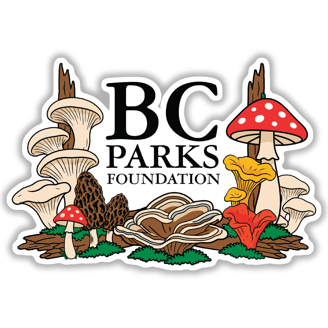 BC Wild Mushroom Sticker