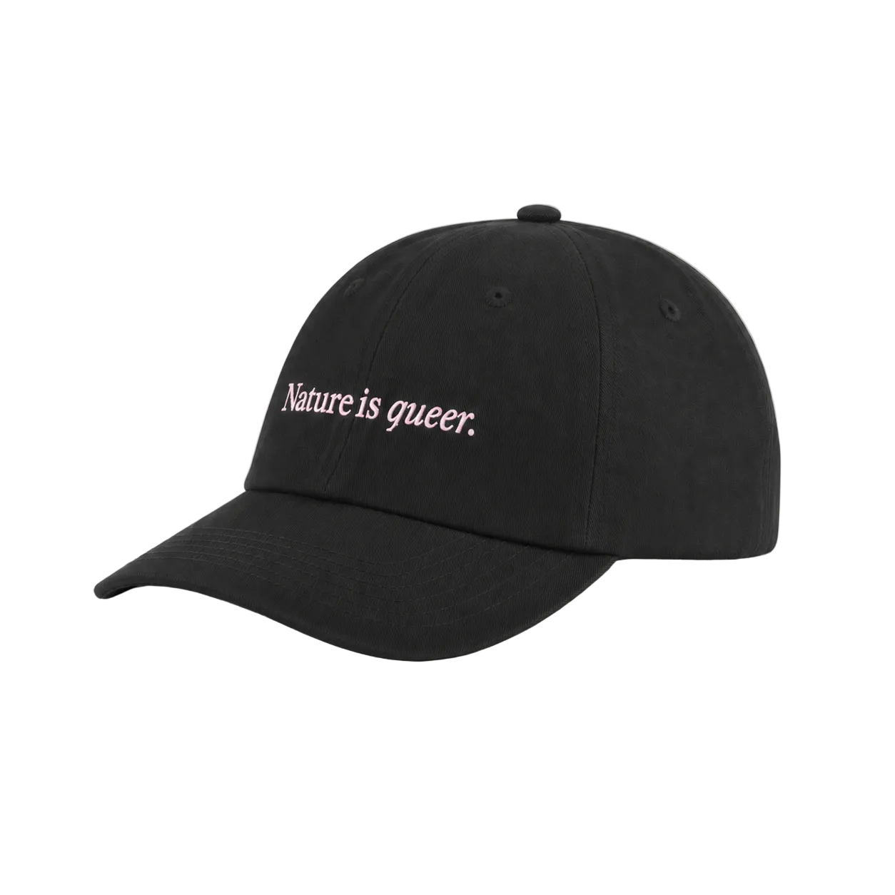 Black "Nature is queer." embroidered baseball cap shown at a right three-quarter angle.