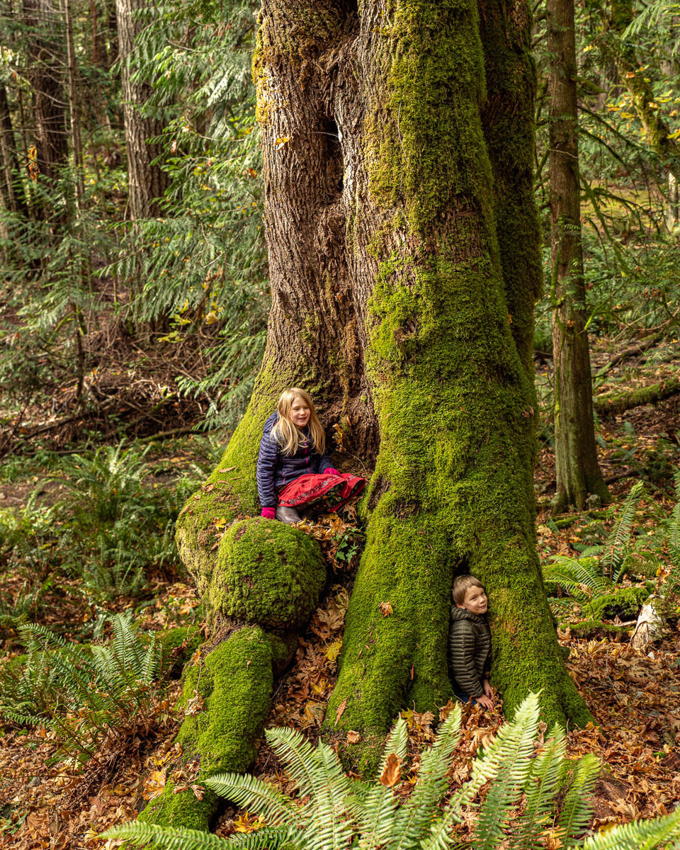 BC Parks Foundation Shop