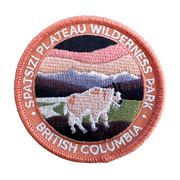 A circular embroidered patch featuring a Spatszi Plateau Wilderness Park scene with a bison in the foreground, mountains in the background, and the text 'SPATSZI PLATEAU WILDERNESS PARK' and 'BRITISH COLUMBIA' around the border.