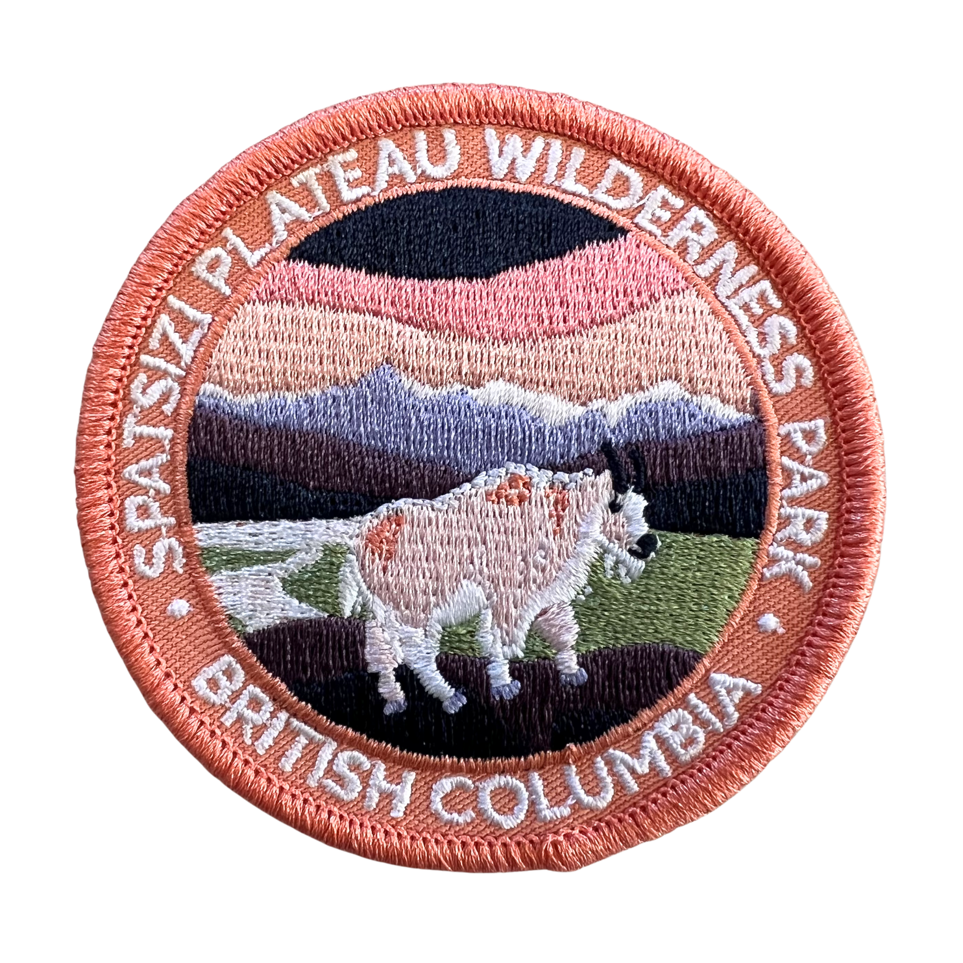 A circular embroidered patch featuring a Spatszi Plateau Wilderness Park scene with a bison in the foreground, mountains in the background, and the text 'SPATSZI PLATEAU WILDERNESS PARK' and 'BRITISH COLUMBIA' around the border.