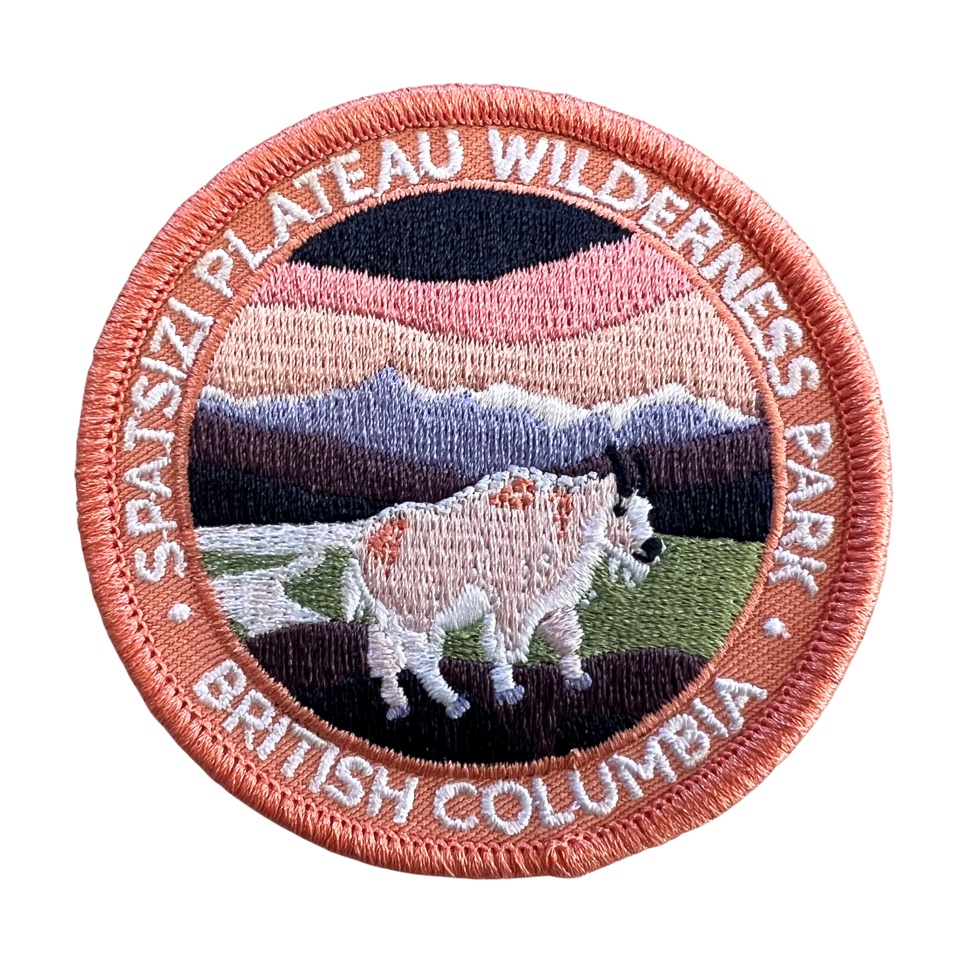 A circular embroidered patch featuring a Spatszi Plateau Wilderness Park scene with a bison in the foreground, mountains in the background, and the text 'SPATSZI PLATEAU WILDERNESS PARK' and 'BRITISH COLUMBIA' around the border.