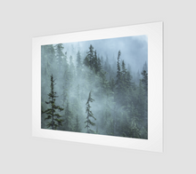 Load image into Gallery viewer, Foggy trees (Shannon Falls Provincial Park) Art Print
