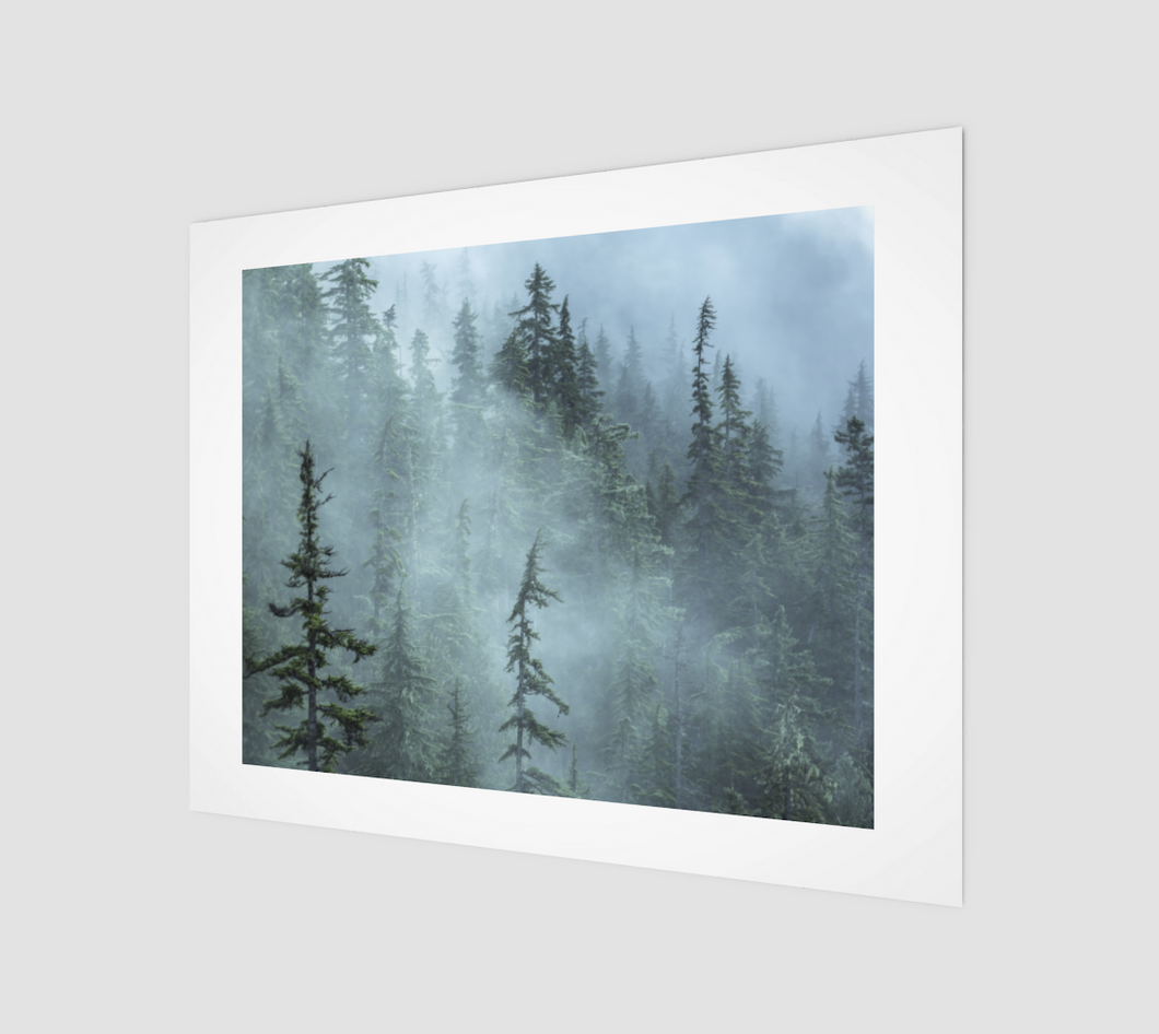 Foggy trees (Shannon Falls Provincial Park) Art Print