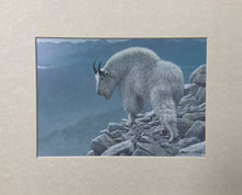 Load image into Gallery viewer, Mountain Goat at Kakwa Matted Art Print
