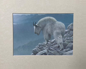 Mountain Goat at Kakwa Matted Art Print